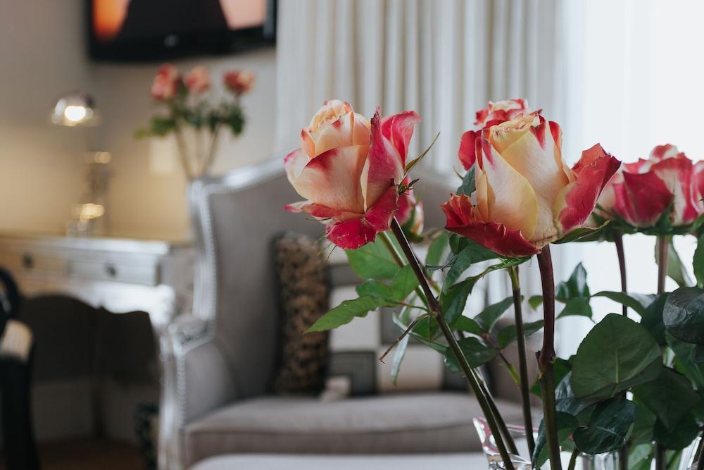 The Light House Boutique Suites パール エクステリア 写真