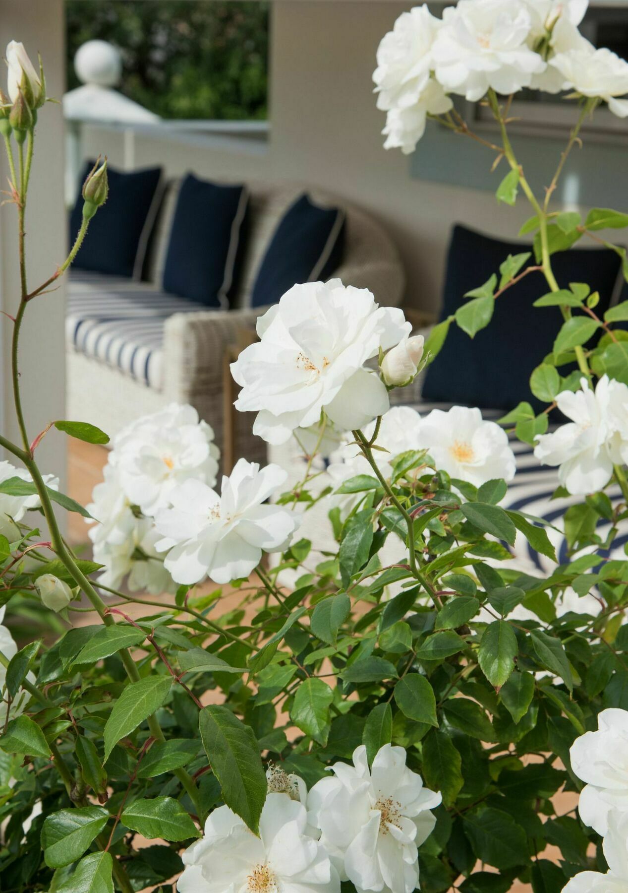 The Light House Boutique Suites パール エクステリア 写真